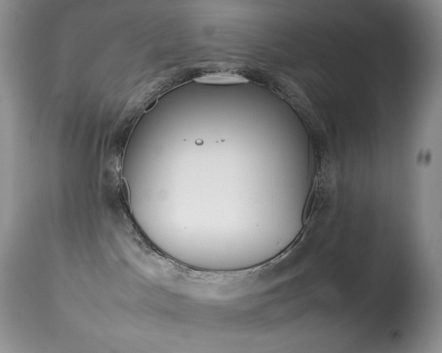 X0000113640045200909181340