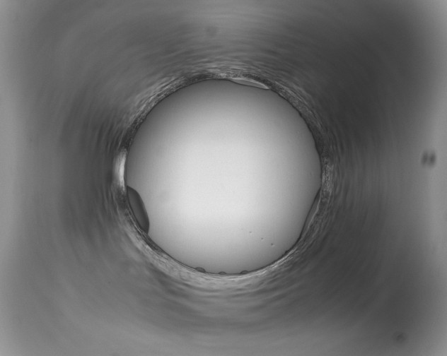 X0000113640047200909181340