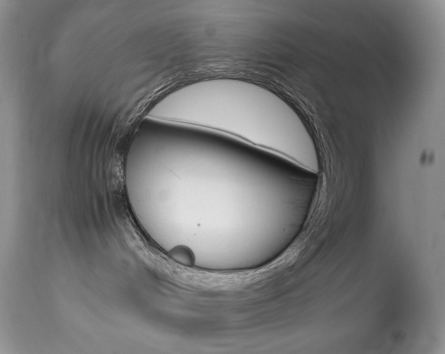 X0000113640048200909181340