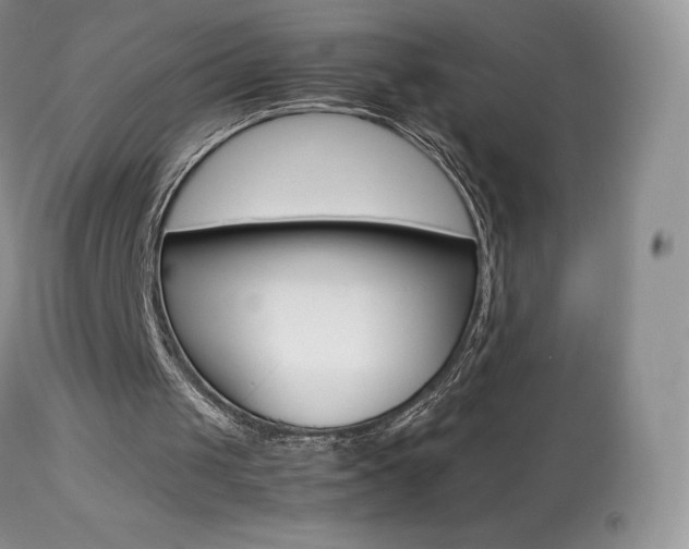 X0000113640049200909181339