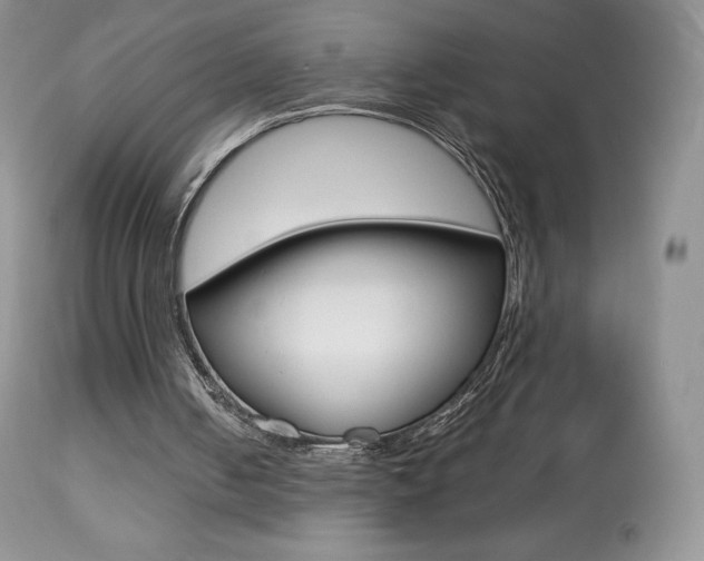 X0000113640050200909181339
