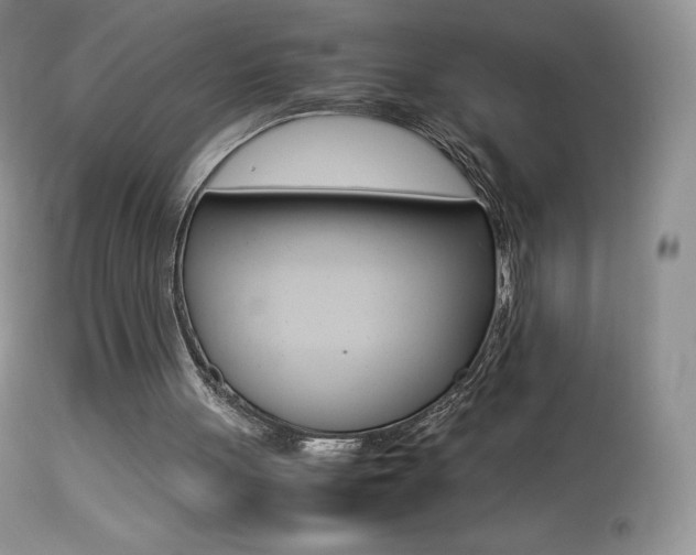 X0000113640051200909181339
