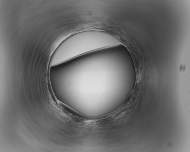 X0000113640052200909181339