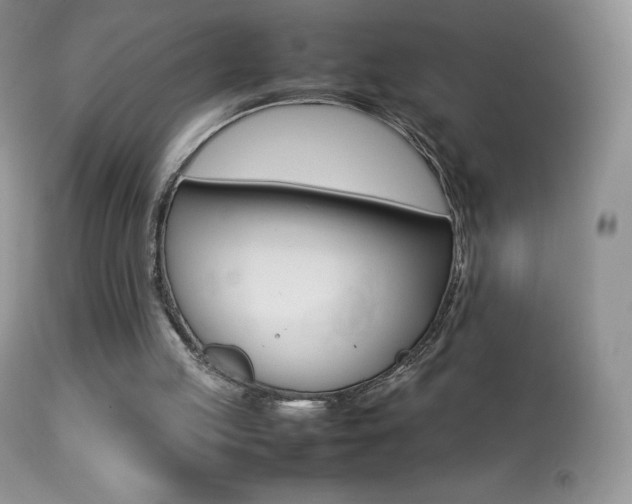 X0000113640053200909181339