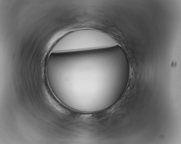 X0000113640054200909181339