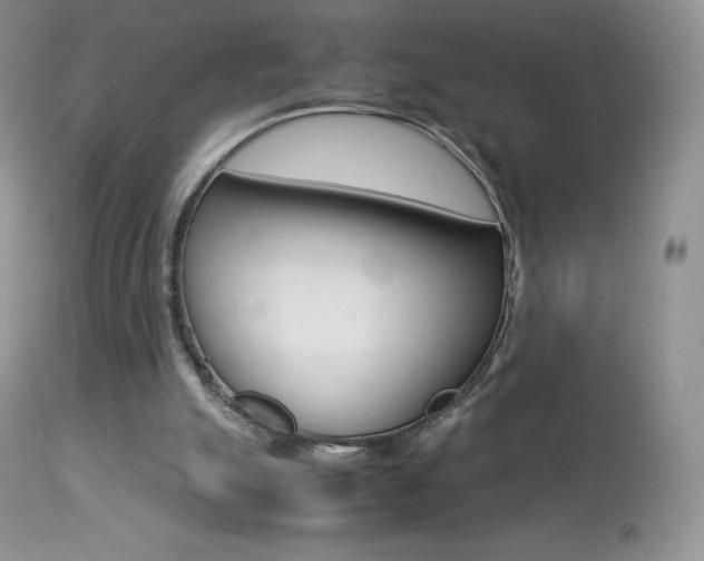 X0000113640055200909181339