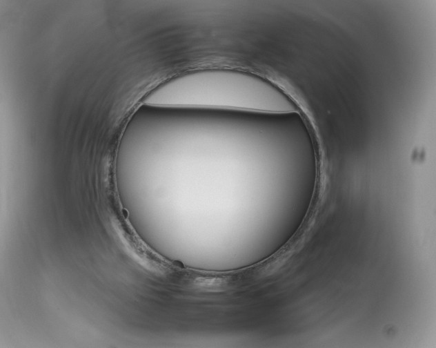 X0000113640057200909181339