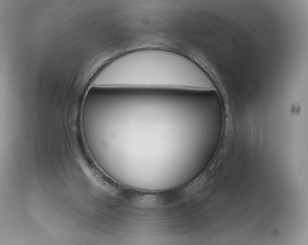 X0000113640058200909181339
