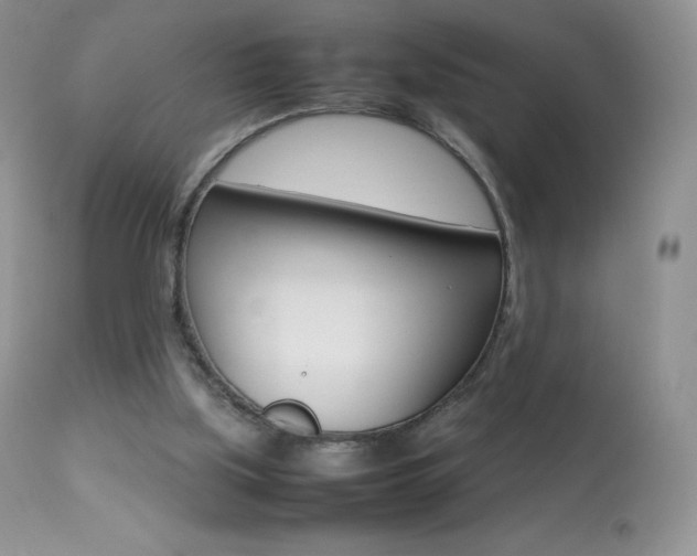 X0000113640059200909181339