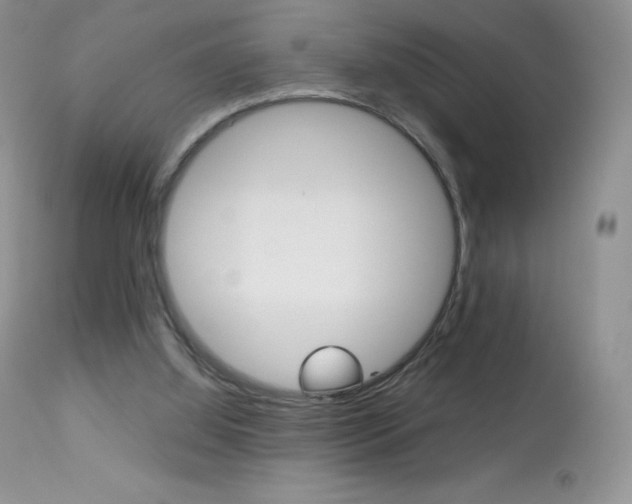 X0000113640060200909181339