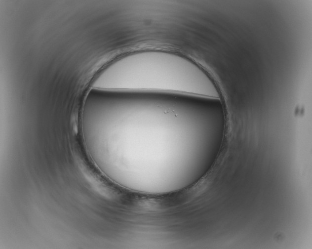 X0000113640062200909181339
