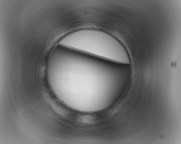 X0000113640063200909181339