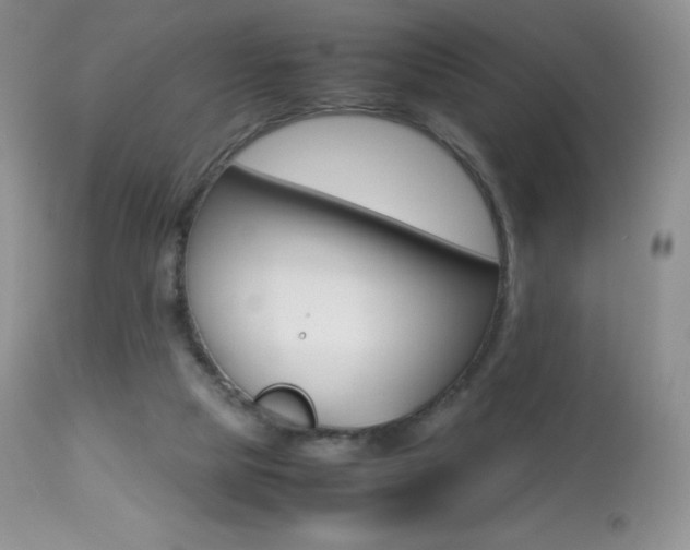 X0000113640065200909181339