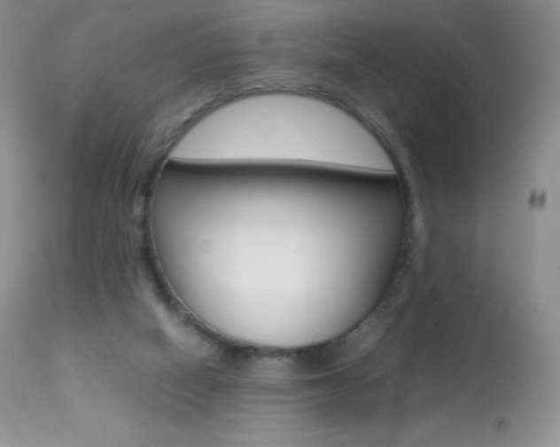 X0000113640066200909181339