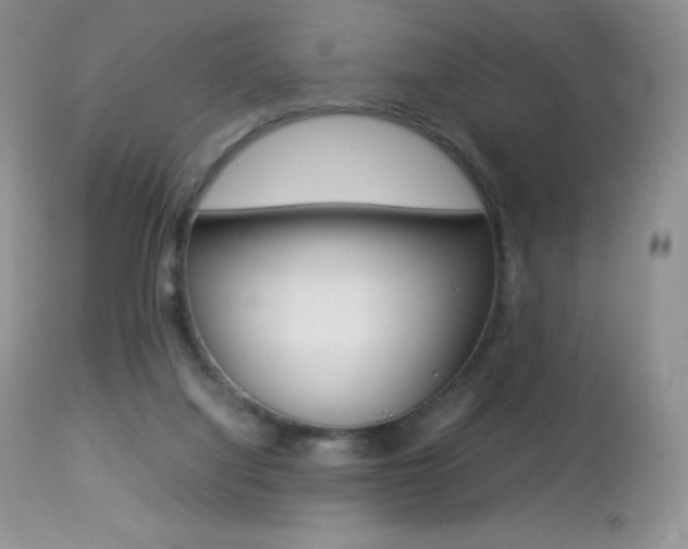 X0000113640068200909181339