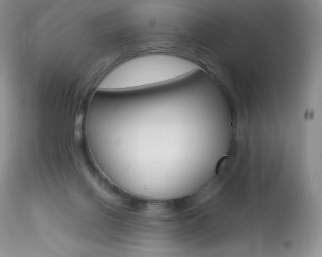 X0000113640070200909181340