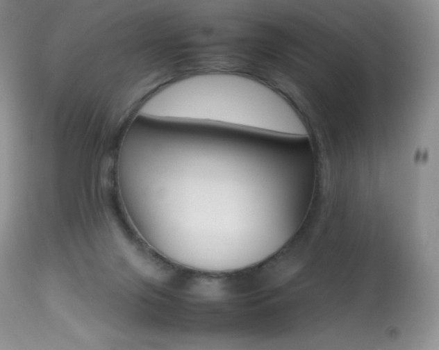 X0000113640071200909181340