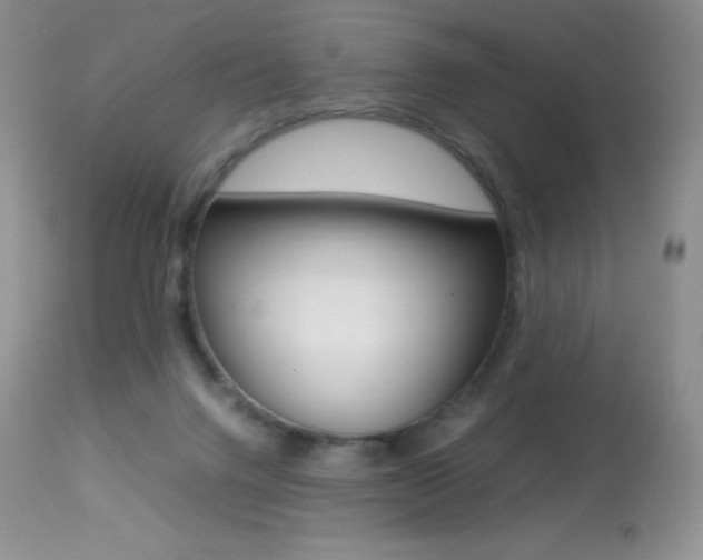 X0000113640072200909181340