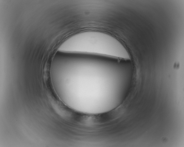 X0000113640074200909181340