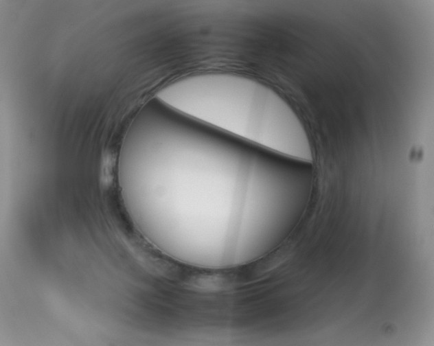 X0000113640075200909181340