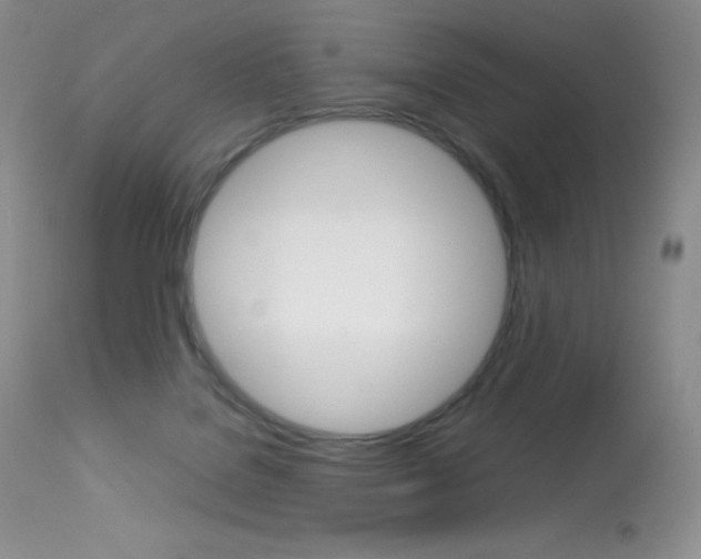 X0000113640076200909181340