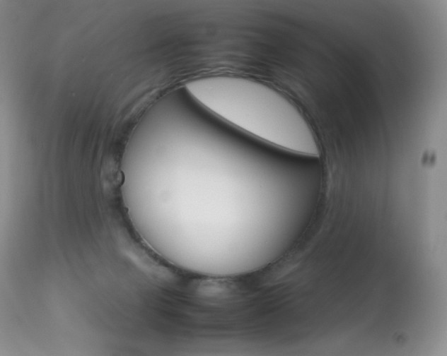 X0000113640077200909181340
