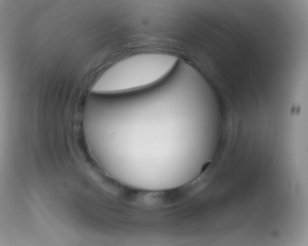 X0000113640078200909181340