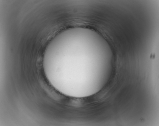 X0000113640079200909181340