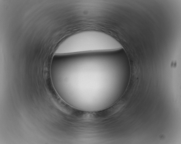 X0000113640080200909181340