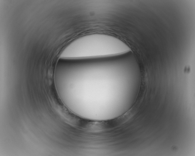 X0000113640082200909181340