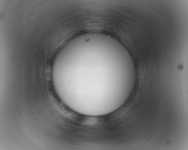 X0000113640083200909181340