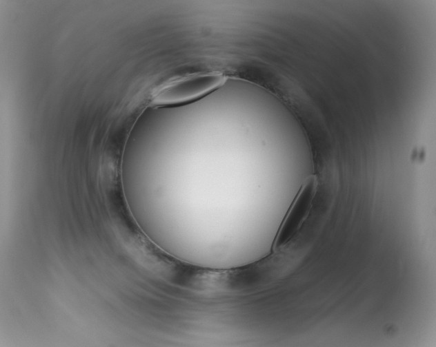 X0000113640084200909181340