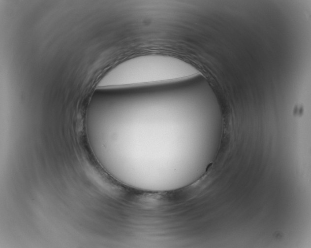 X0000113640086200909181340