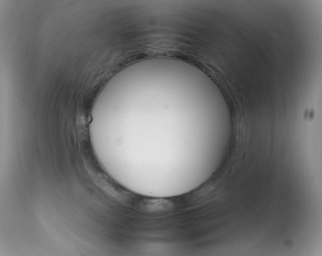 X0000113640087200909181340
