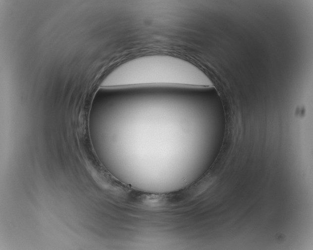 X0000113640088200909181340