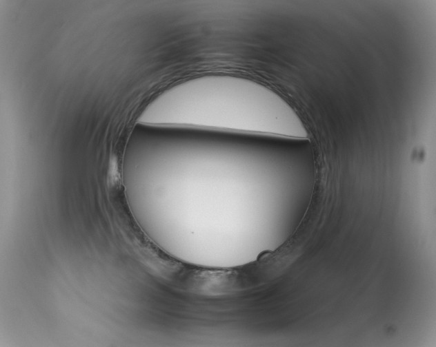 X0000113640089200909181340