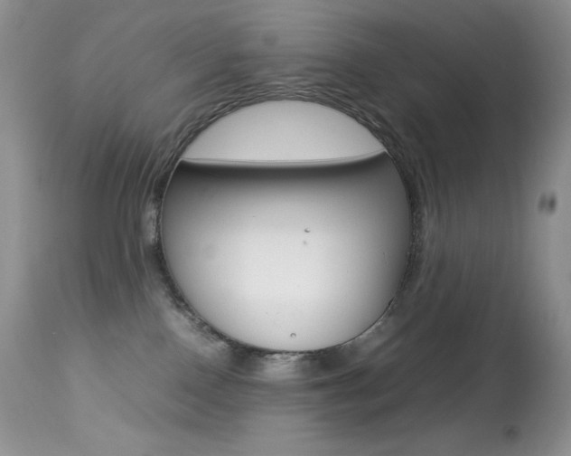 X0000113640090200909181340