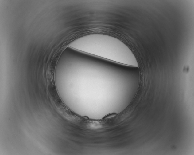X0000113640091200909181340