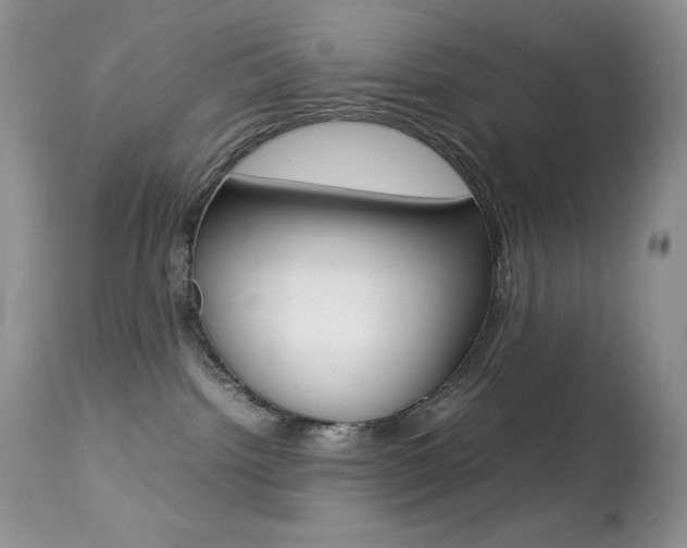 X0000113640092200909181340