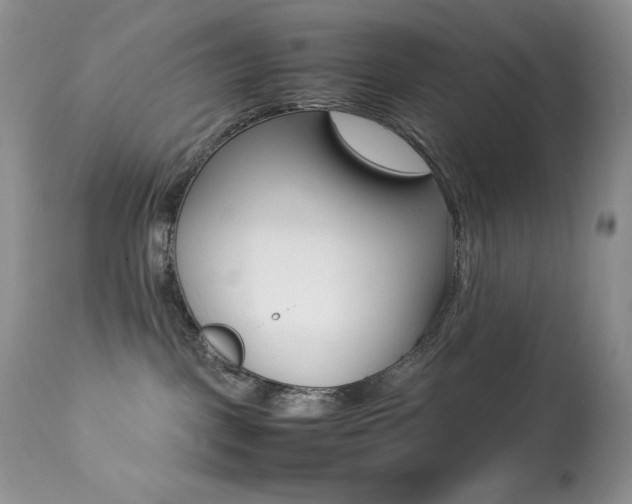 X0000113640093200909181340