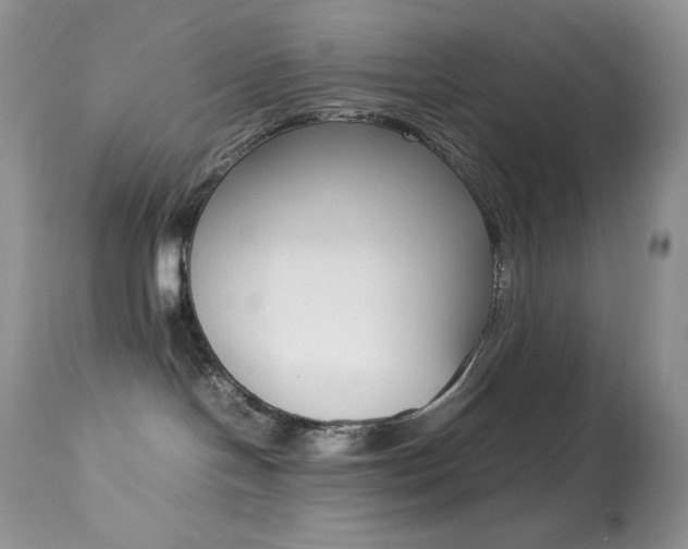 X0000113640094200909181340