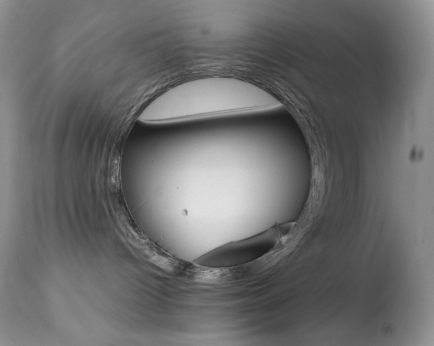 X0000113640096200909181340