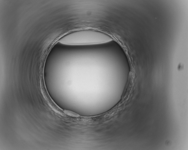 X0000113640097200909181339
