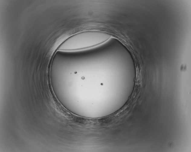 X0000113640099200909181339
