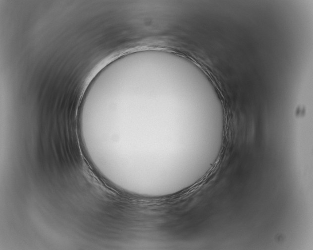 X0000113640100200909181339