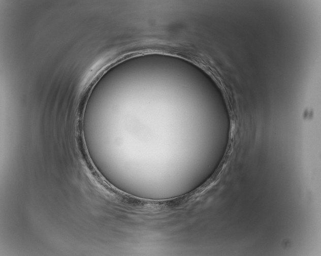 X0000113640101200909181339