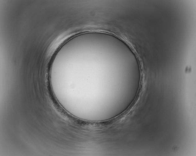 X0000113640103200909181339