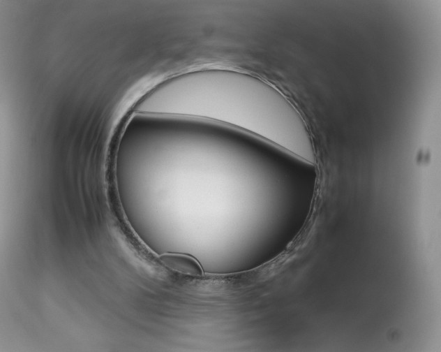 X0000113640104200909181339