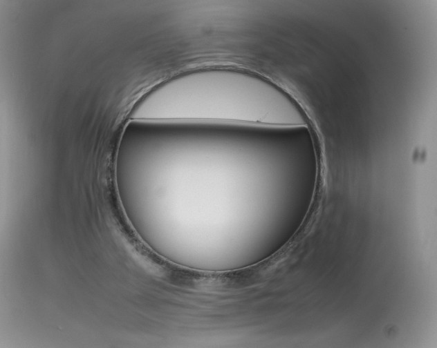 X0000113640105200909181339