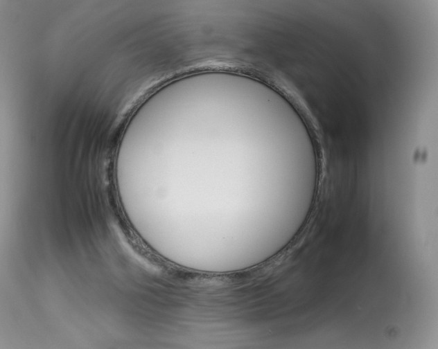 X0000113640106200909181339